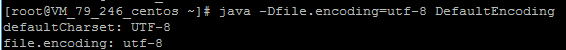 java character stream default charset test in linux console with param -Dfile.encoding